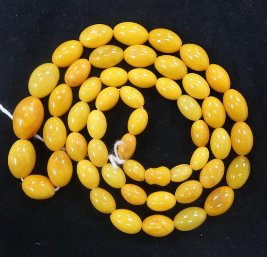 A single strand graduated oval amber bead necklace, 70cm.